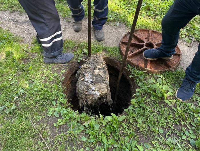 Челябинцы стали выкидывать в унитаз овощи