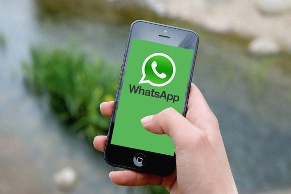 Массовые сбои WhatsApp* на Урале: недоступна десктопная версия и задерживается отправка сообщений
